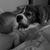 Renee Smalley's profile image
