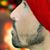 Sadam Aryan Saaqi's profile image