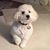 Ann Liethen's profile image