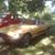 Eddie Hoye's profile image
