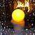 Lynne Beau's profile image