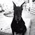 Debbie McNeely Zednik's profile image