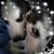 Stacey-Jt Barber's profile image
