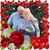 Lisa Carnes Mason's profile image
