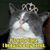 Karen Lawson's profile image