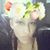 Michelle Vargas's profile image