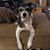 Malen Stump Jr's profile image