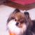Suzanne Randolph Makanani's profile image