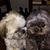Judy Burch Walters's profile image