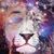 Stephon Guyton's profile image