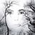 Sandy Denton's profile image