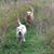 Barb Knutson's profile image