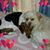 Brenda Shultz's profile image