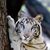 Ranee Kinnaman's profile image