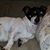 Scott Kinkead's profile image