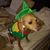 Stephanie Cantrell's profile image