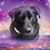 Rita Hutcheson's profile image