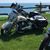 Renee Lammers's profile image