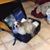Jody Gervais's profile image