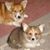Kathy Eberle's profile image