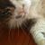 Elena C. Zeer l'ErboVispa's profile image