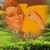 Susan Lynn Simmons's profile image