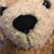 Spectacles Sapphire's profile image