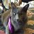 Glennis Nagel's profile image