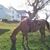 Roger Strieker's profile image