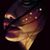 Meraris Ferrer's profile image