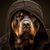 Troy Michaud's profile image