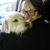 Heather Steinbarger's profile image