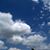 Jaci Chambers Eckell's profile image