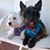Kristy Childers's profile image