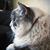 Jenny Martis's profile image