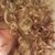 Teresa M. Sweetwood's profile image