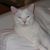 Robin Hicks's profile image