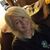 Kendra Barnz's profile image