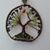 Terri Croswhite's profile image