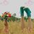 Karyn Whitfield Evans's profile image