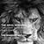 Richard Mateo Garcia's profile image