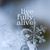 Janice Deur's profile image