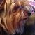 Tim Tice's profile image