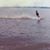 Lesley Anne Staggs's profile image