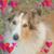 June Bruer Harris's profile image