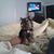 Debbie Hulgan's profile image