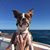 Patrick Wagor's profile image