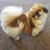 Sally Kidwell's profile image