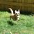 Kim Knoblock's profile image