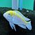 Greg Schebel's profile image